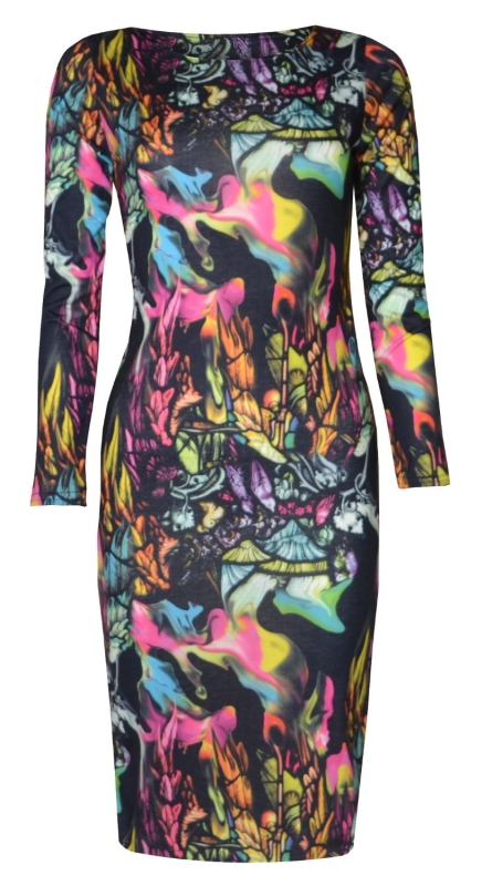 Birds and Feathers Print Long Sleeved Midi Dress