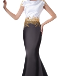 Evening Gowns Elegant