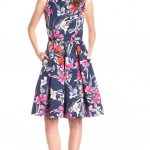 Floral Print Fit and Flare Dress