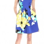 Floral Fit and Flare Dress